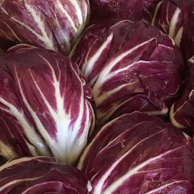 Radicchio tondo di Chioggia