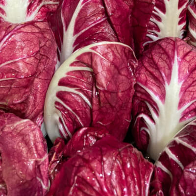 Radicchio semilungo di Verona